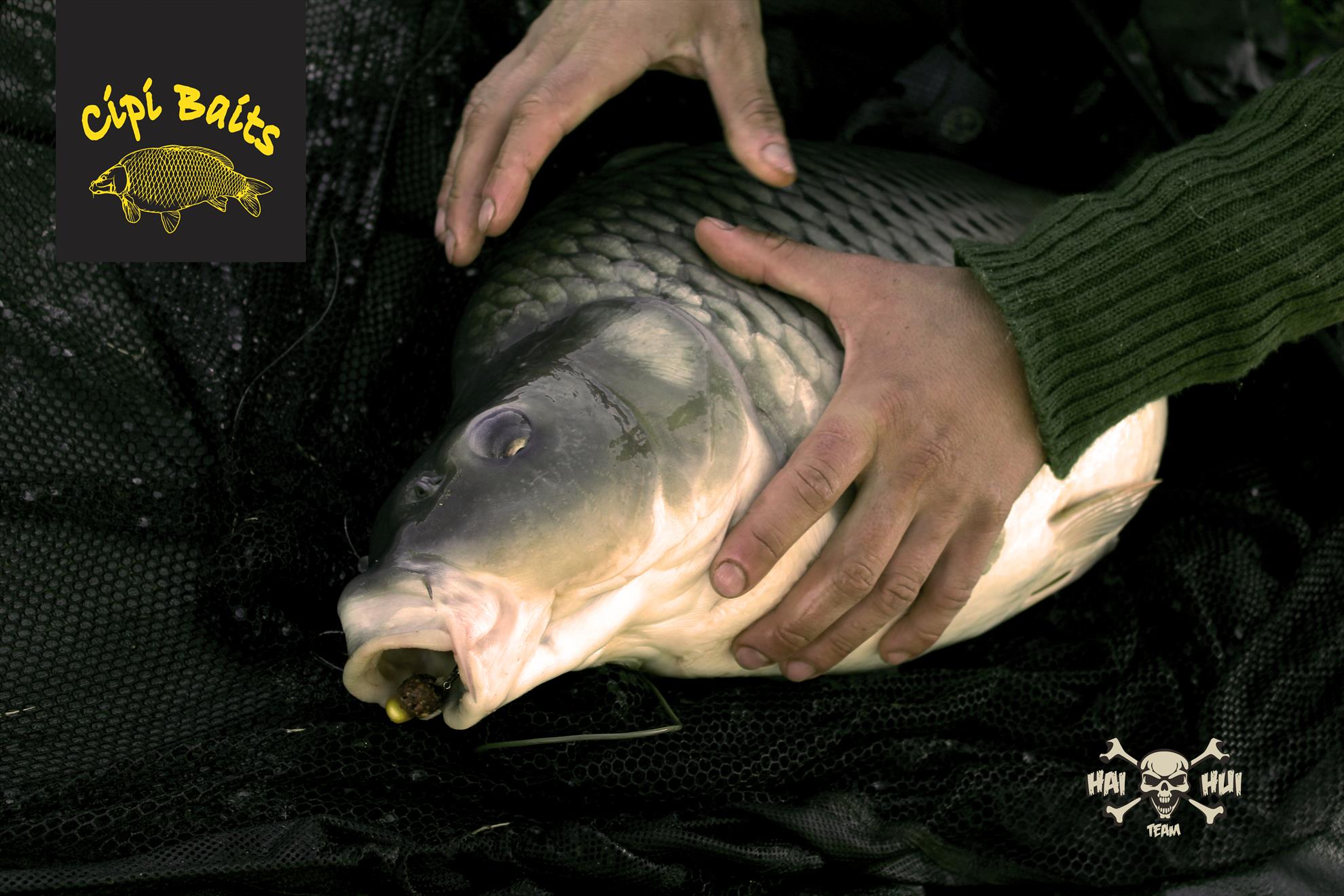 Hai-Hui Team - img3873.jpg